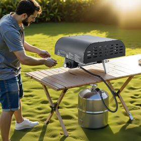 12' Outdoor Pizza Oven Portable Gas Oven Iron Spray  For Camping
