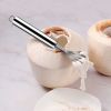 Kitchen Gadget Household Hand Coconut Meat Extractor Shaved Knife